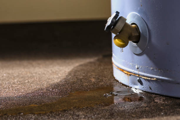 Best Water damage restoration near me  in West Hazleton, PA