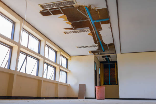 Best Local water damage restoration  in West Hazleton, PA