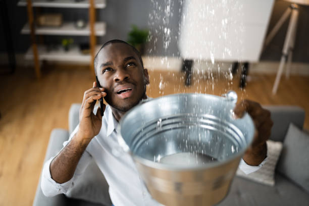 Best Professional water damage repair  in West Hazleton, PA
