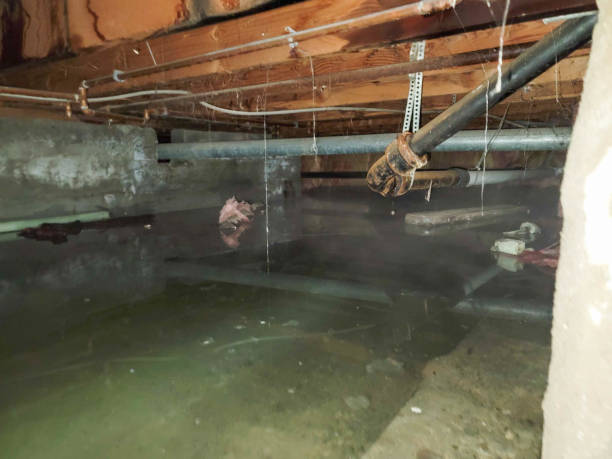 West Hazleton, PA Water damage restoration Company