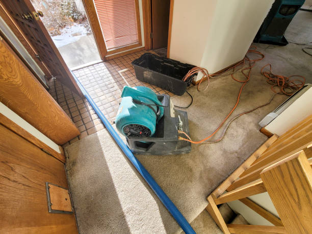 Best 24/7 water damage repair  in West Hazleton, PA